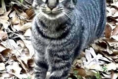 Screenshot-2026-01-13-at-3.45.56-PM